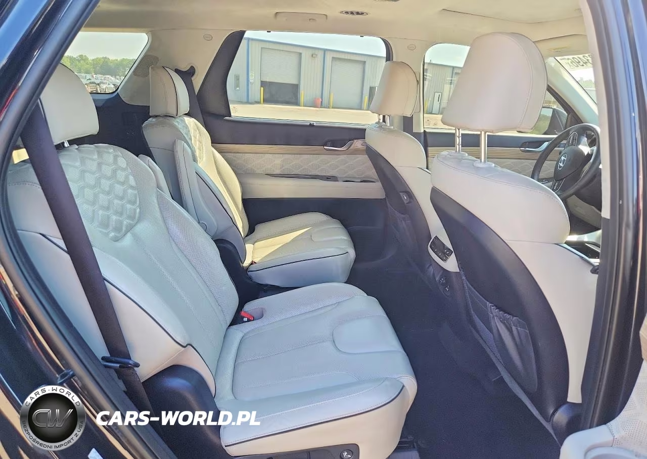 2022 Hyundai Palisade Calligraphy VIN:KM8R7DHE2NU403385 - 10