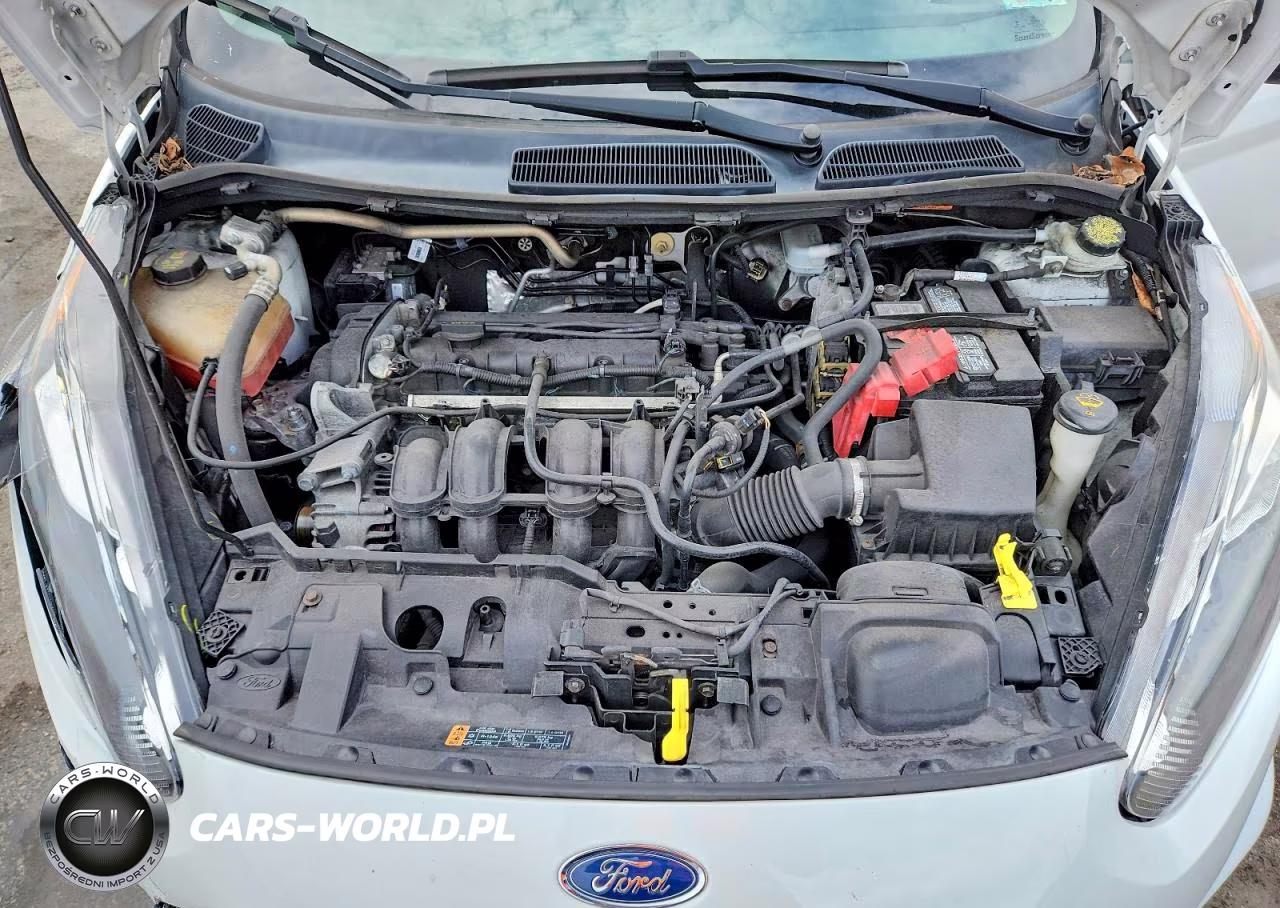 2019 Ford Fiesta St VIN:3FADP4DJXKM131661 - 11