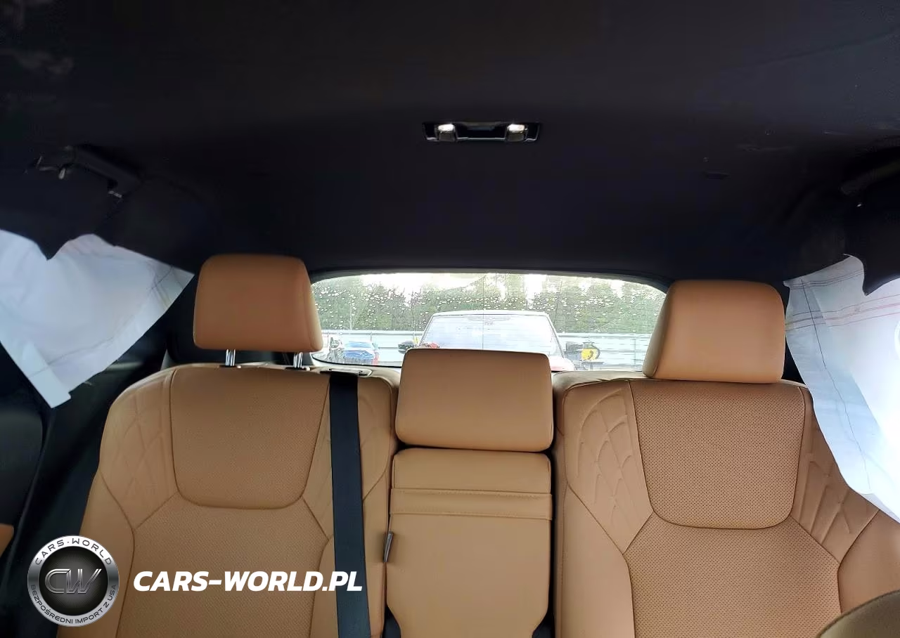 2023 Lexus Rx 350 Premium VIN:2T2BAMCA1PC031559 - 10