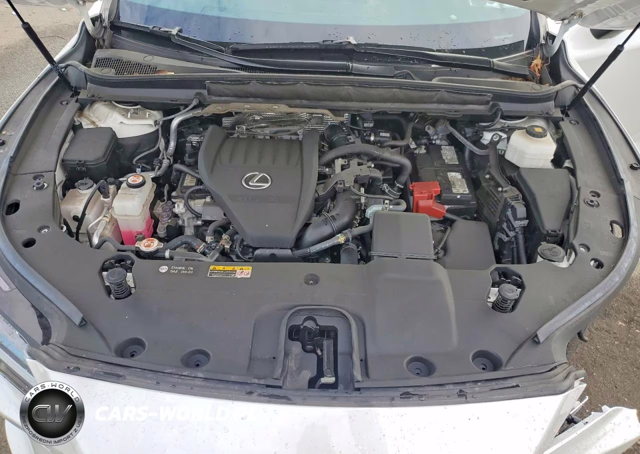 2023 Lexus Rx 350 Premium VIN:2T2BAMCA1PC031559 - 12