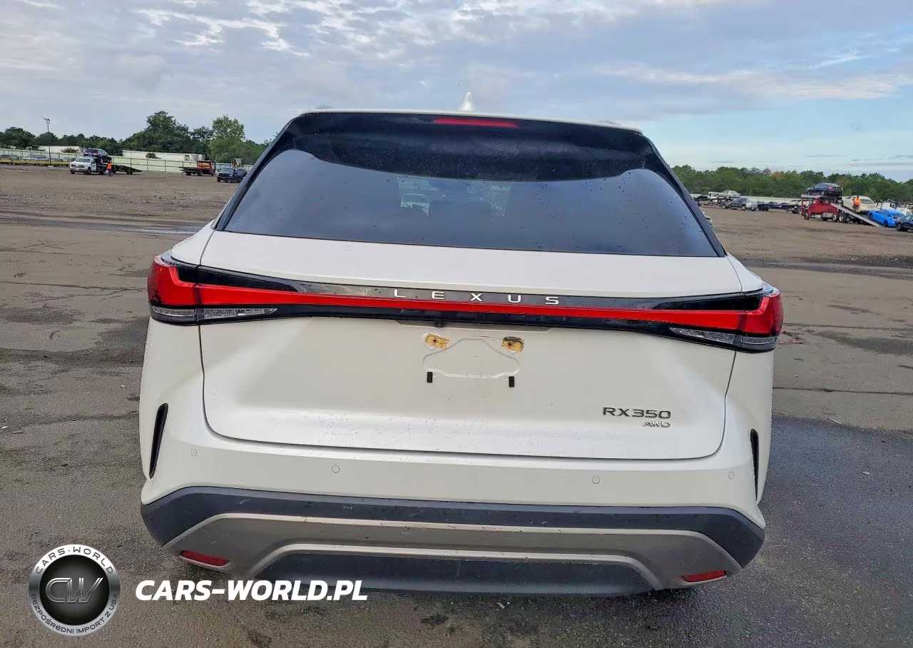2023 Lexus Rx 350 Premium VIN:2T2BAMCA1PC031559 - 6