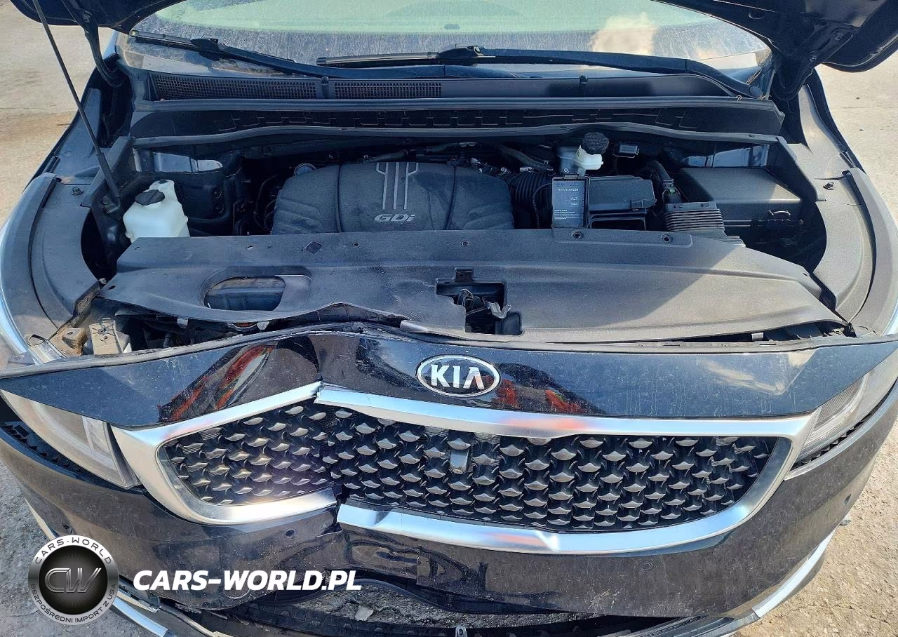 2018 Kia Sedona Sxl VIN:KNDME5C14J6346491 - 12