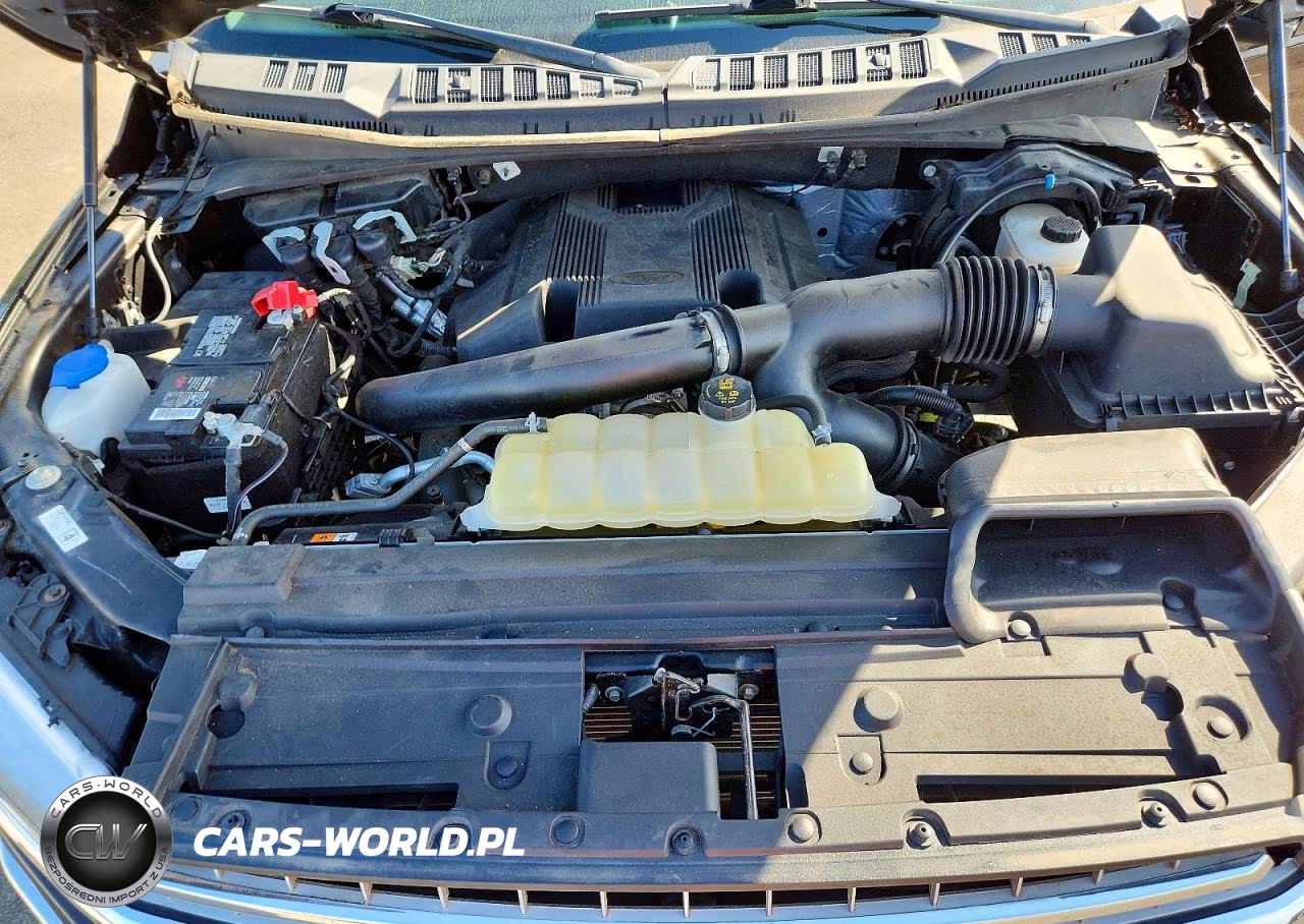2020 Ford F150 Supercrew VIN:1FTEW1E42LFA44315 - 11