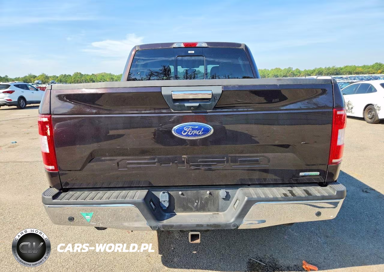 2020 Ford F150 Supercrew VIN:1FTEW1E42LFA44315 - 6