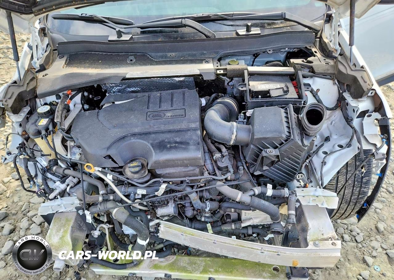 2022 Land Rover Discovery Sport S VIN:SALCJ2FX0NH911473 - 12