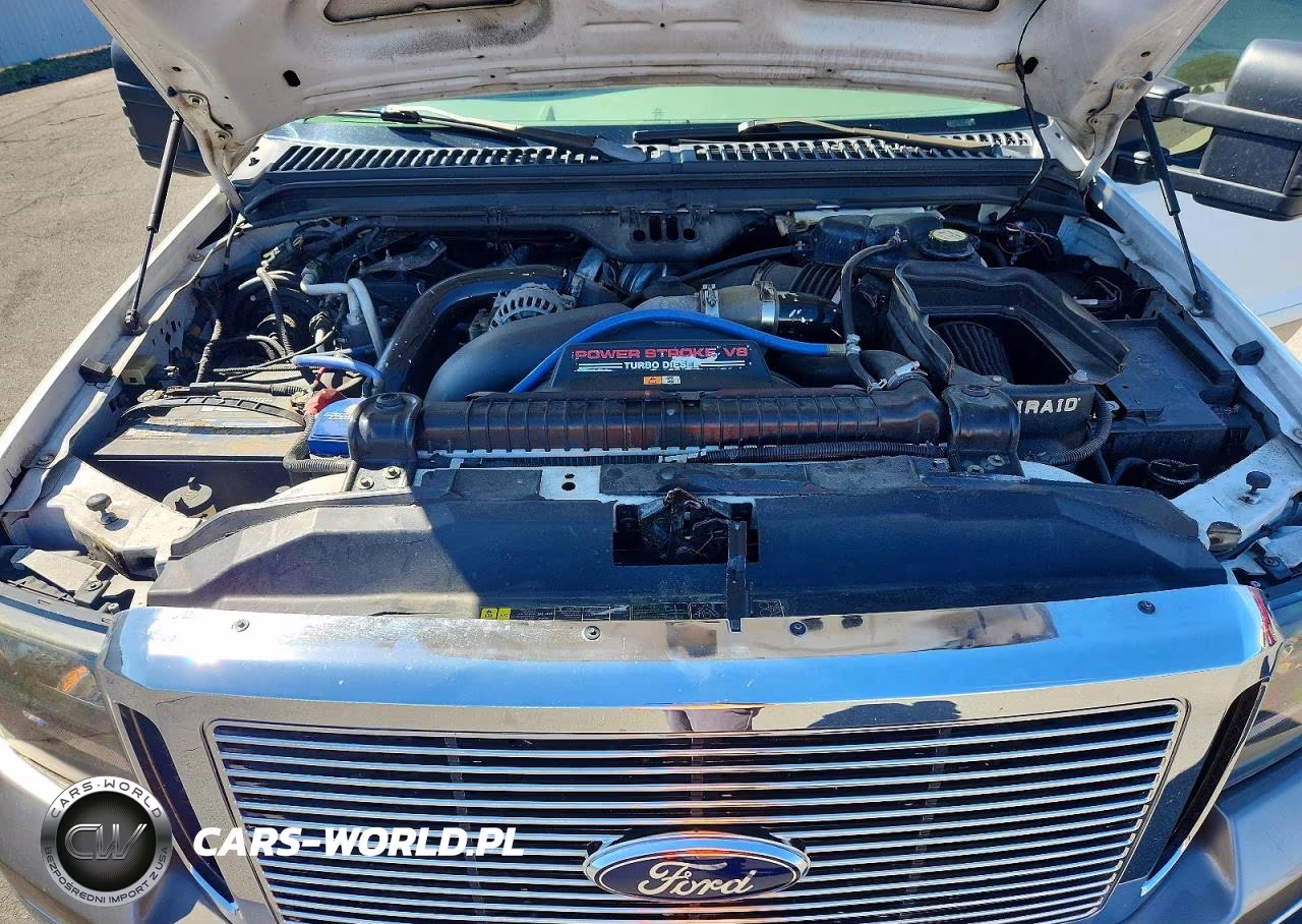 2006 Ford F250 Super Duty VIN:1FTSW21P66EB29614 - 11