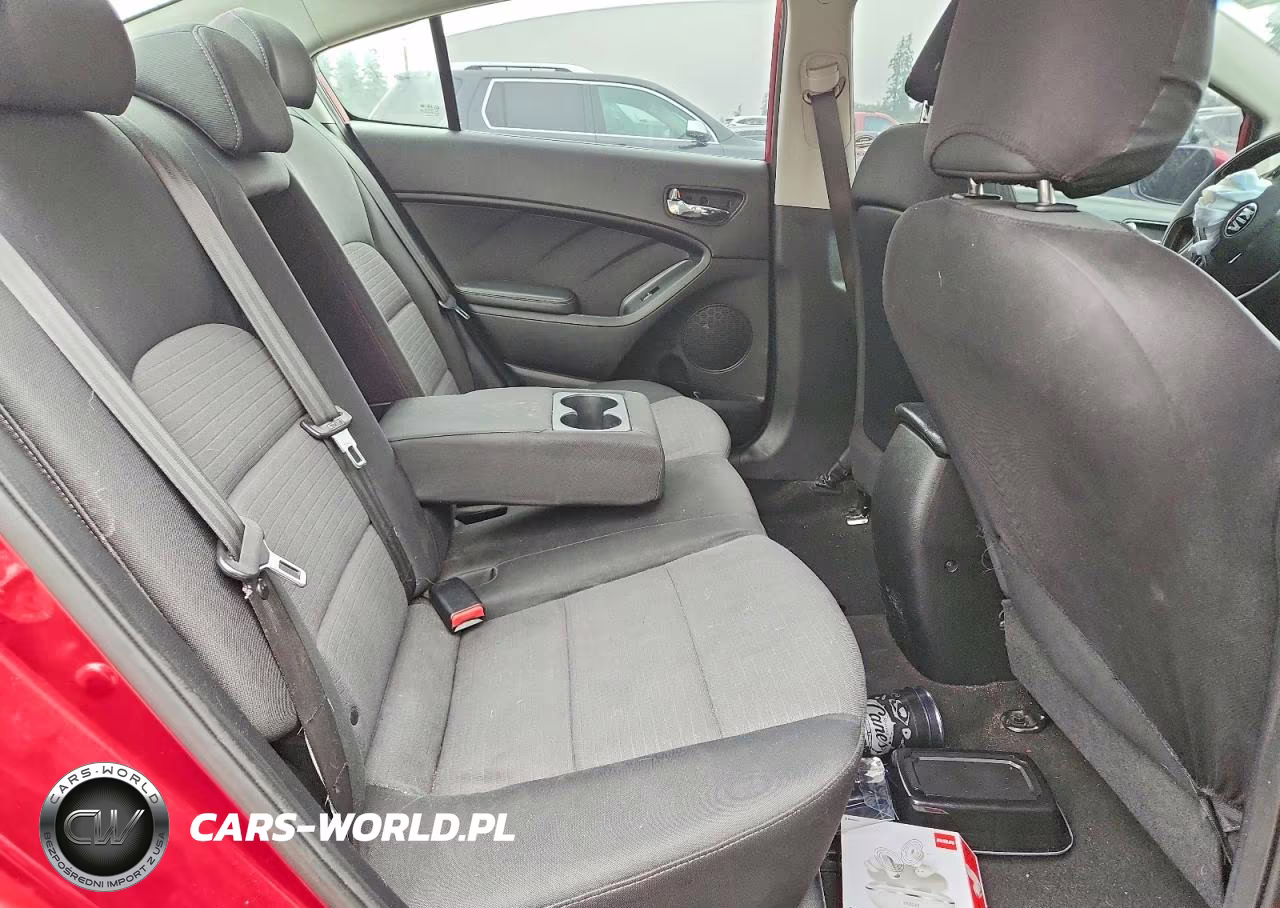 2014 Kia Forte Lx VIN:KNAFX4A69E5066599 - 10