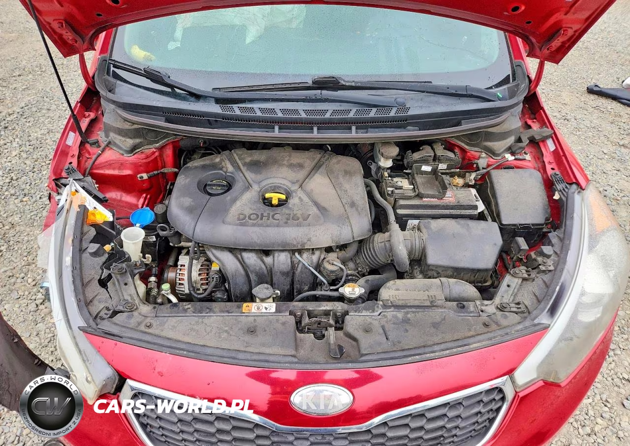 2014 Kia Forte Lx VIN:KNAFX4A69E5066599 - 11