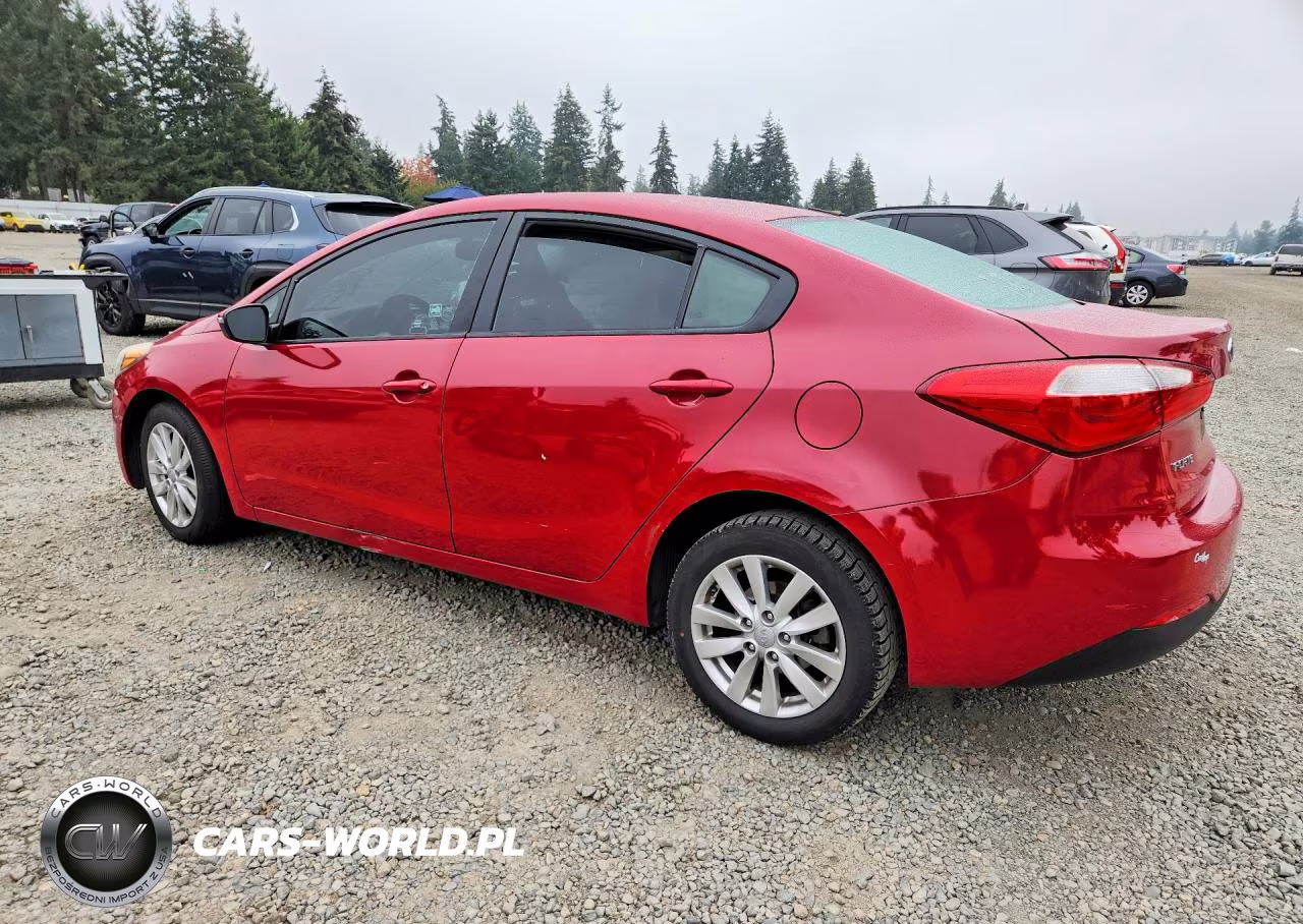 2014 Kia Forte Lx VIN:KNAFX4A69E5066599 - 2