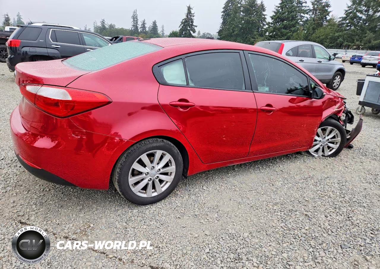 2014 Kia Forte Lx VIN:KNAFX4A69E5066599 - 3