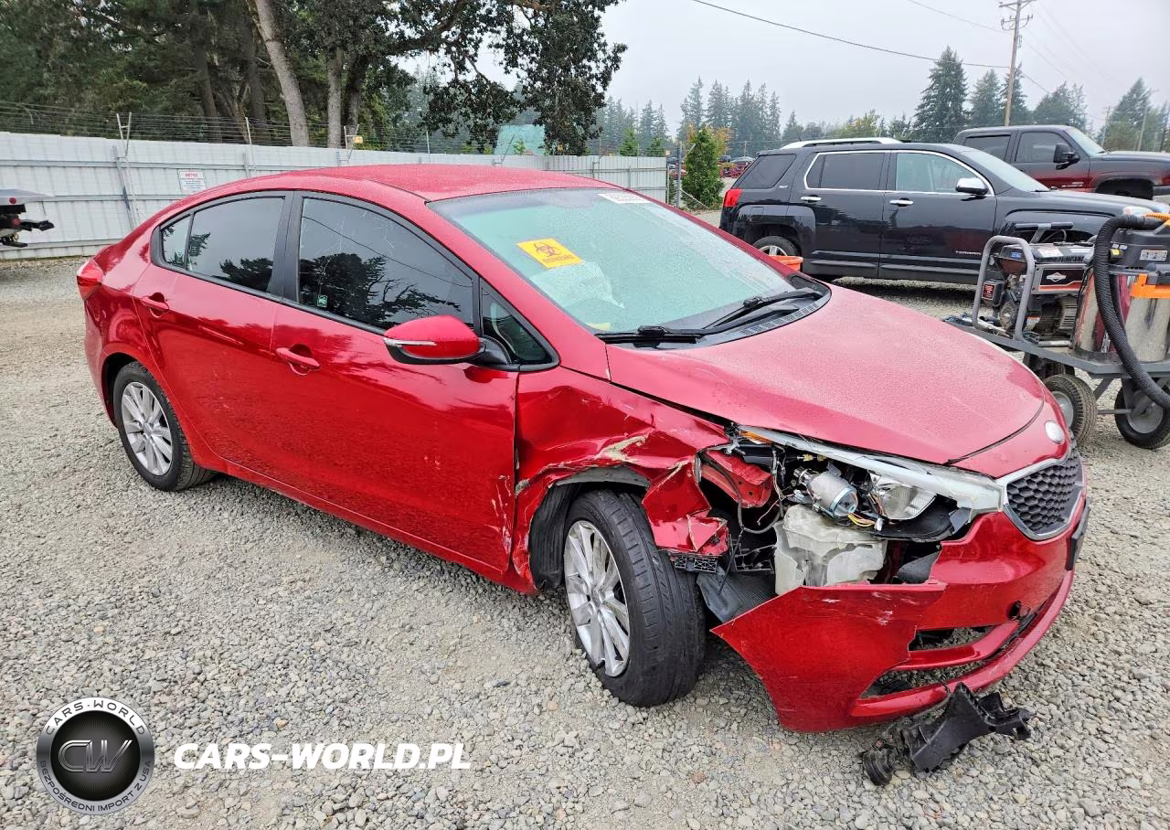 2014 Kia Forte Lx VIN:KNAFX4A69E5066599 - 4
