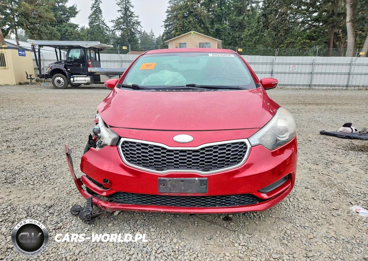 2014 Kia Forte Lx VIN:KNAFX4A69E5066599 - 5