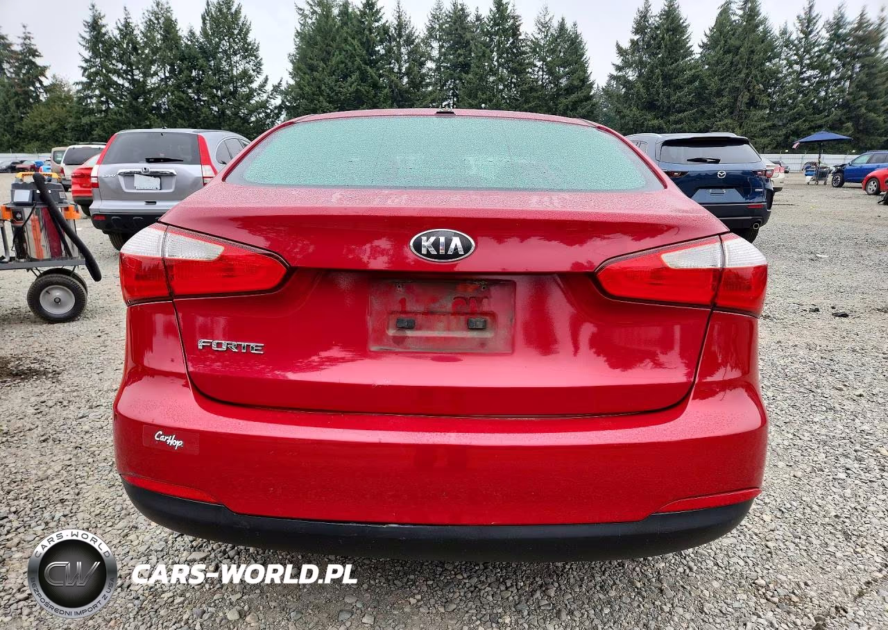 2014 Kia Forte Lx VIN:KNAFX4A69E5066599 - 6