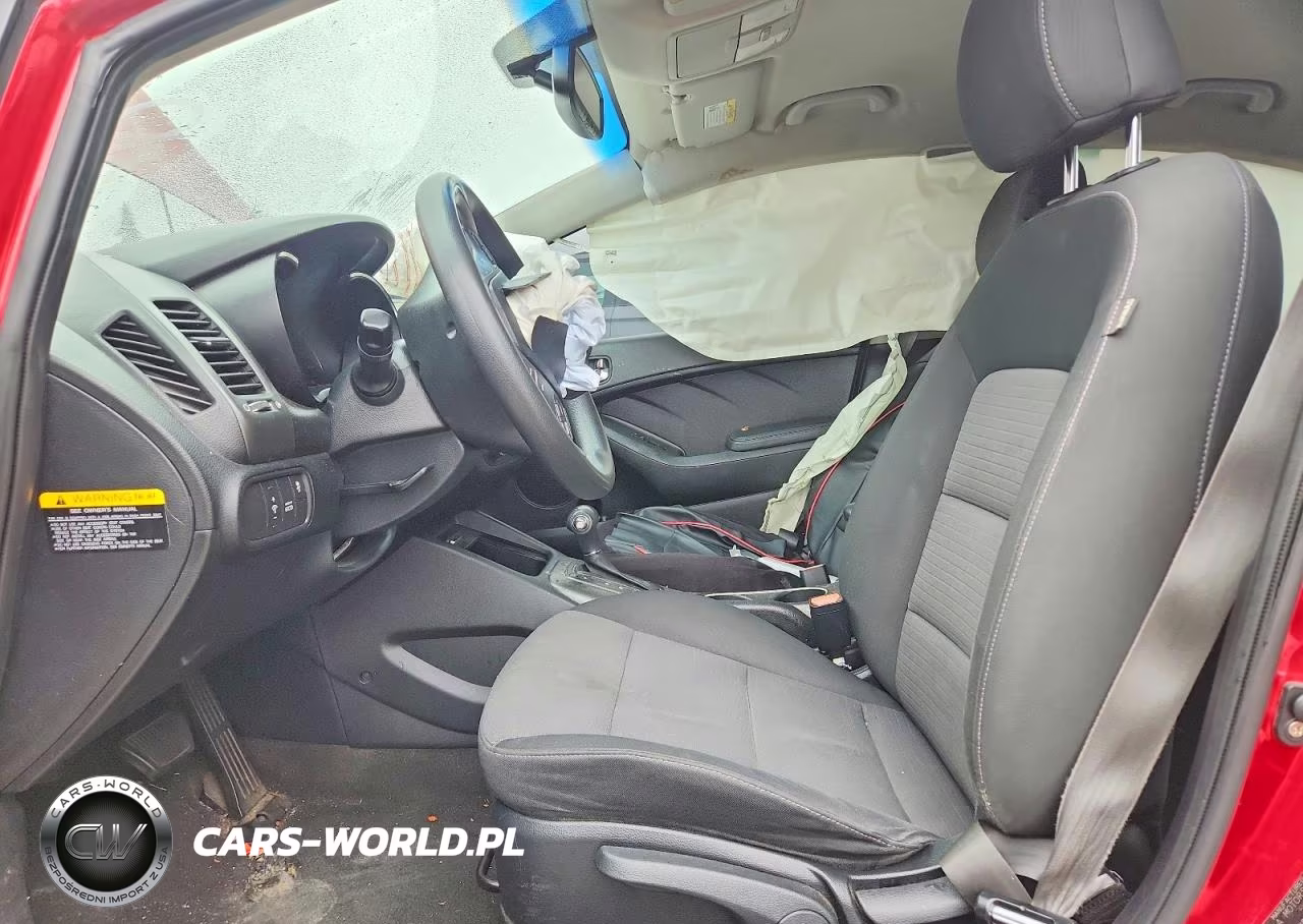 2014 Kia Forte Lx VIN:KNAFX4A69E5066599 - 7