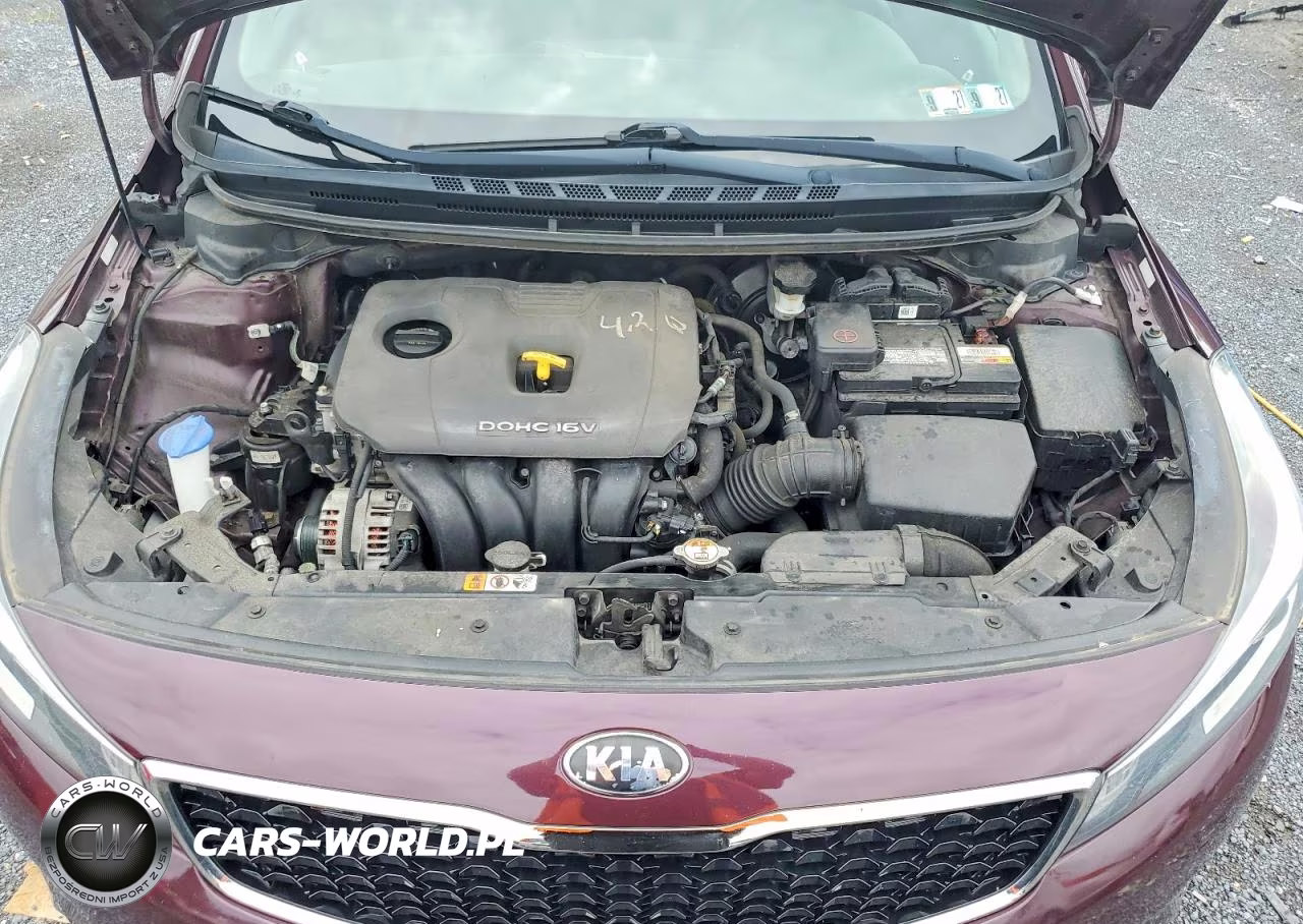 2018 Kia Forte Lx VIN:3KPFK4A77JE259097 - 11