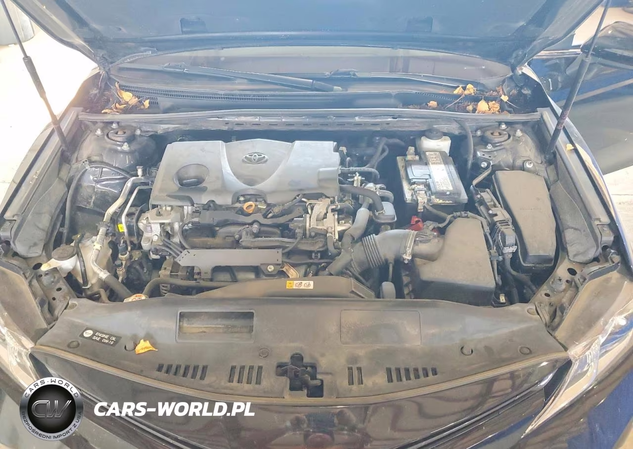 2019 Toyota Camry Le VIN:4T1B11HKXKU821602 - 11