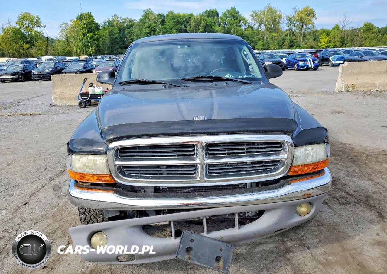 2003 Dodge Dakota Quad Slt VIN:1D7HG48N33S344345 - 5