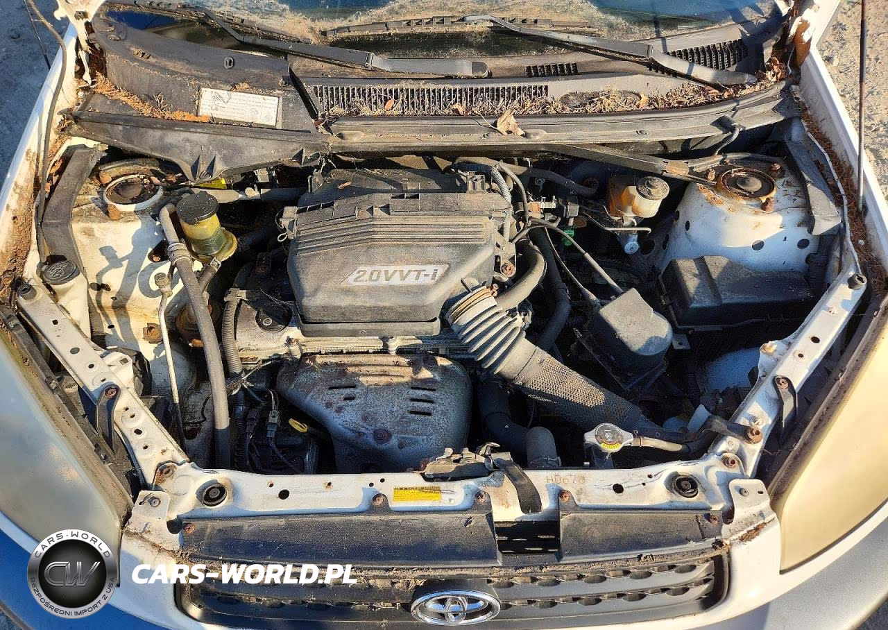 2002 Toyota Rav4 Base VIN:JTEGH20V020070921 - 12