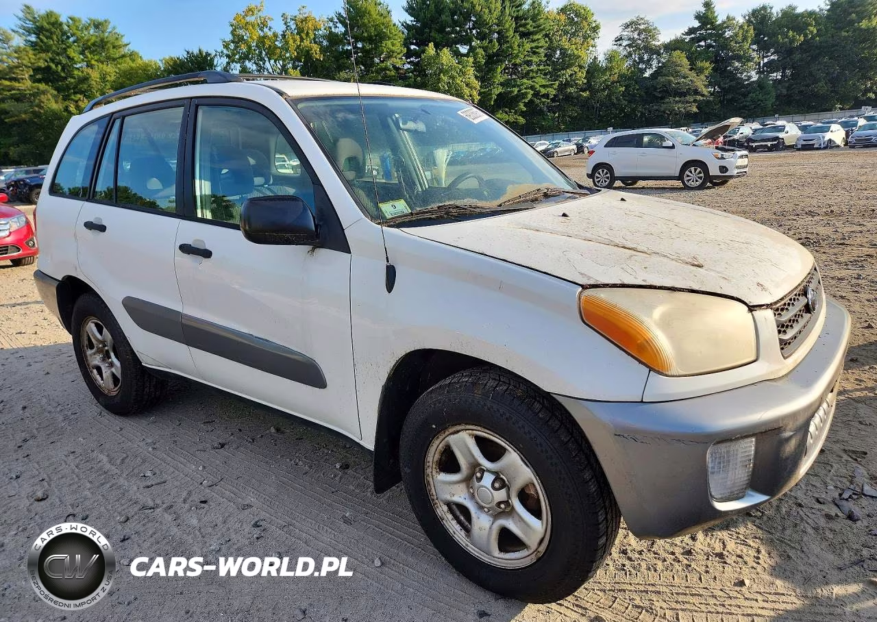 2002 Toyota Rav4 Base VIN:JTEGH20V020070921 - 4