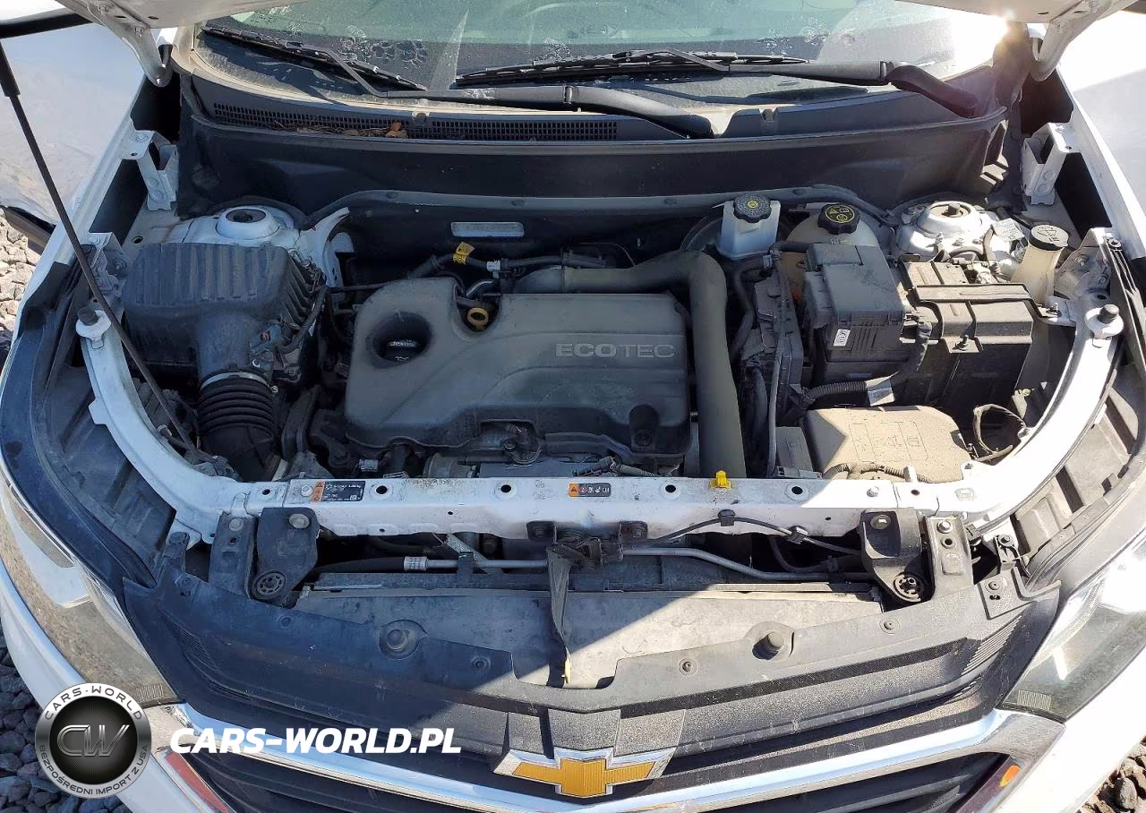 2019 Chevrolet Equinox Lt VIN:3GNAXKEV1KL267659 - 12