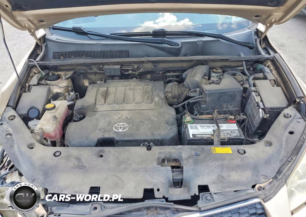 2009 Toyota Rav4 Limited VIN:JTMBK31V995083006 - 12