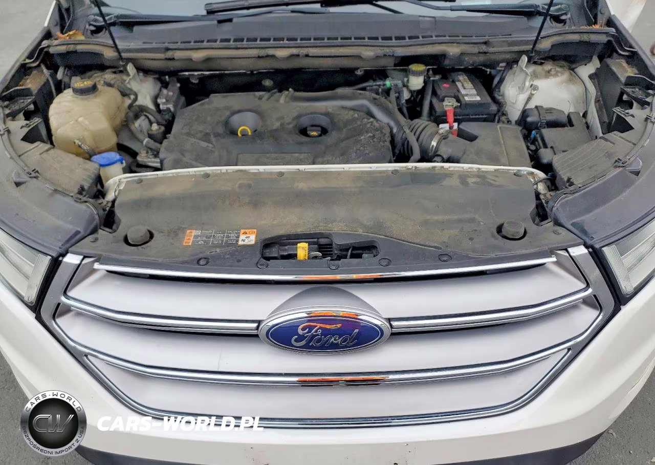 2018 Ford Edge Sel VIN:2FMPK3J94JBB59431 - 11