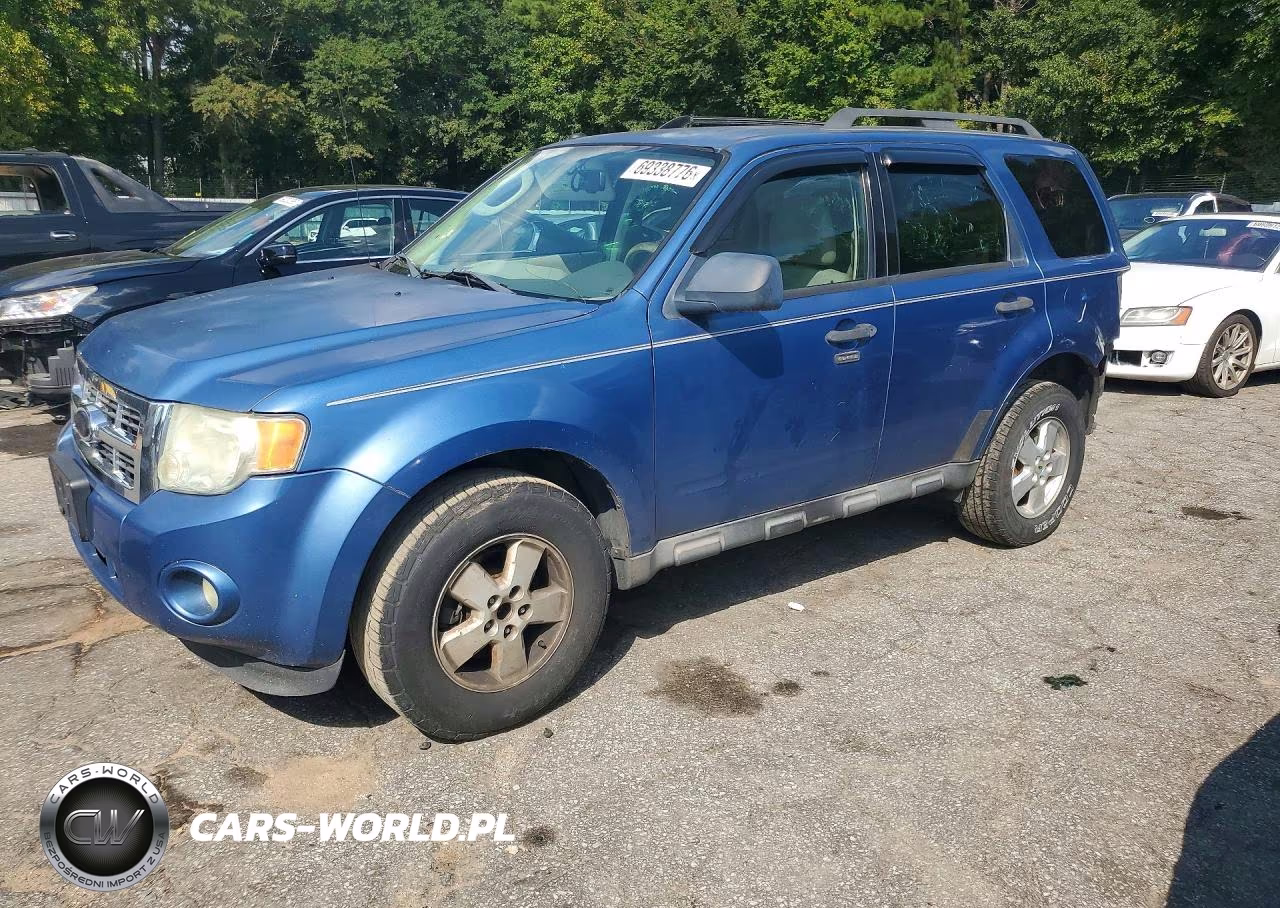 2010 Ford Escape Xlt