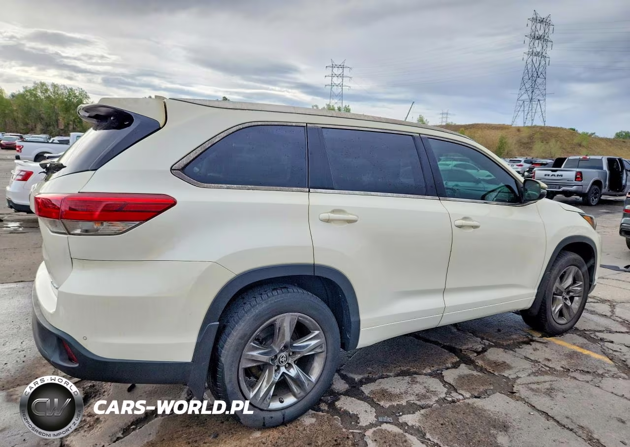 2019 Toyota Highlander Limited Platinum VIN:5TDDZRFH0KS742343 - 3