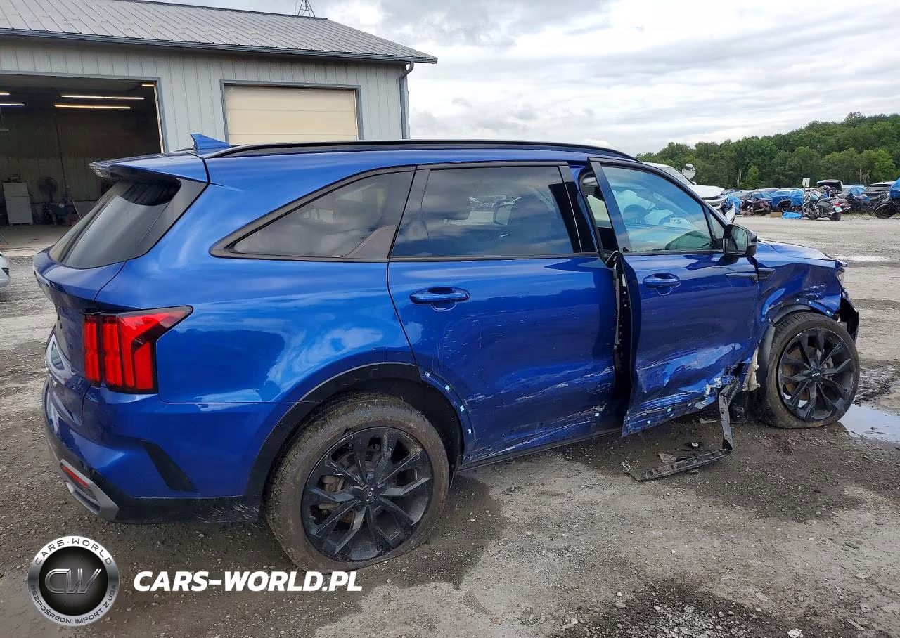 2022 Kia Sorento Sx VIN:5XYRKDLFXNG115439 - 3