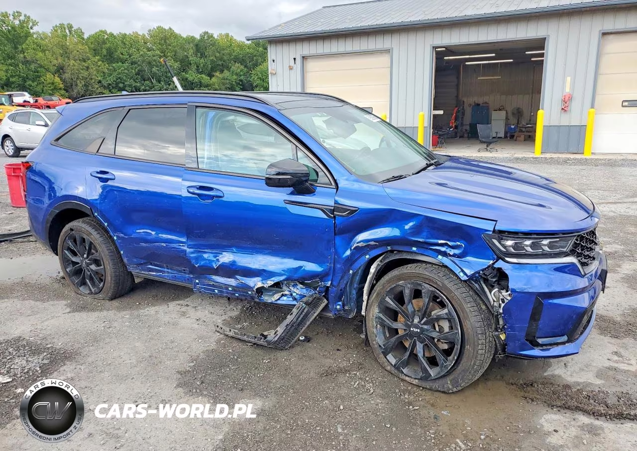 2022 Kia Sorento Sx VIN:5XYRKDLFXNG115439 - 4