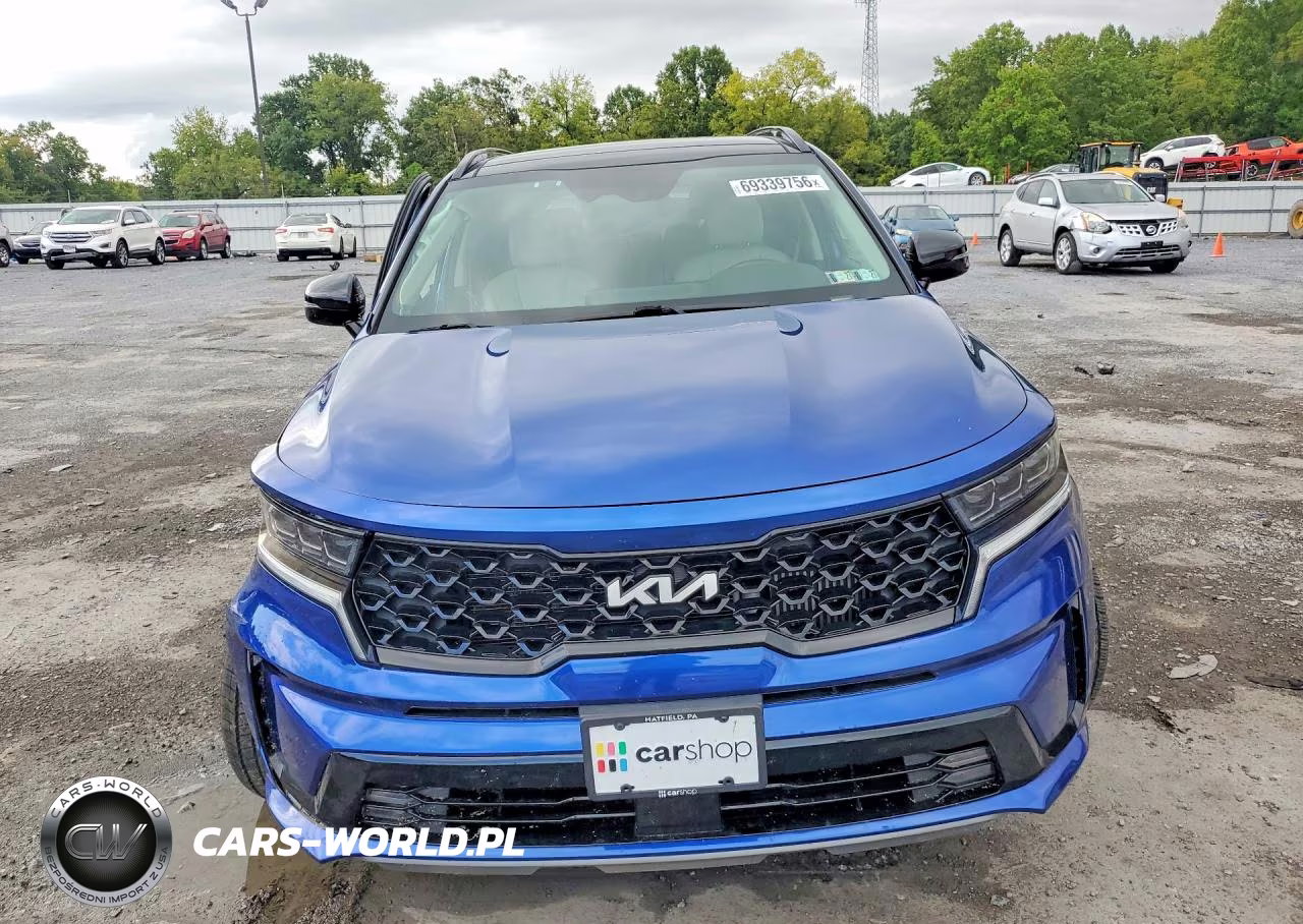 2022 Kia Sorento Sx VIN:5XYRKDLFXNG115439 - 5
