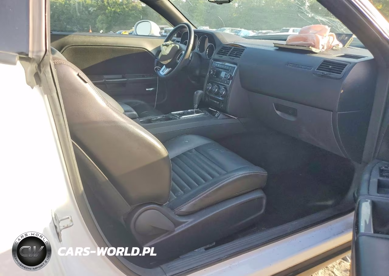 2013 Dodge Challenger Sxt VIN:2C3CDYAG3DH520114 - 10