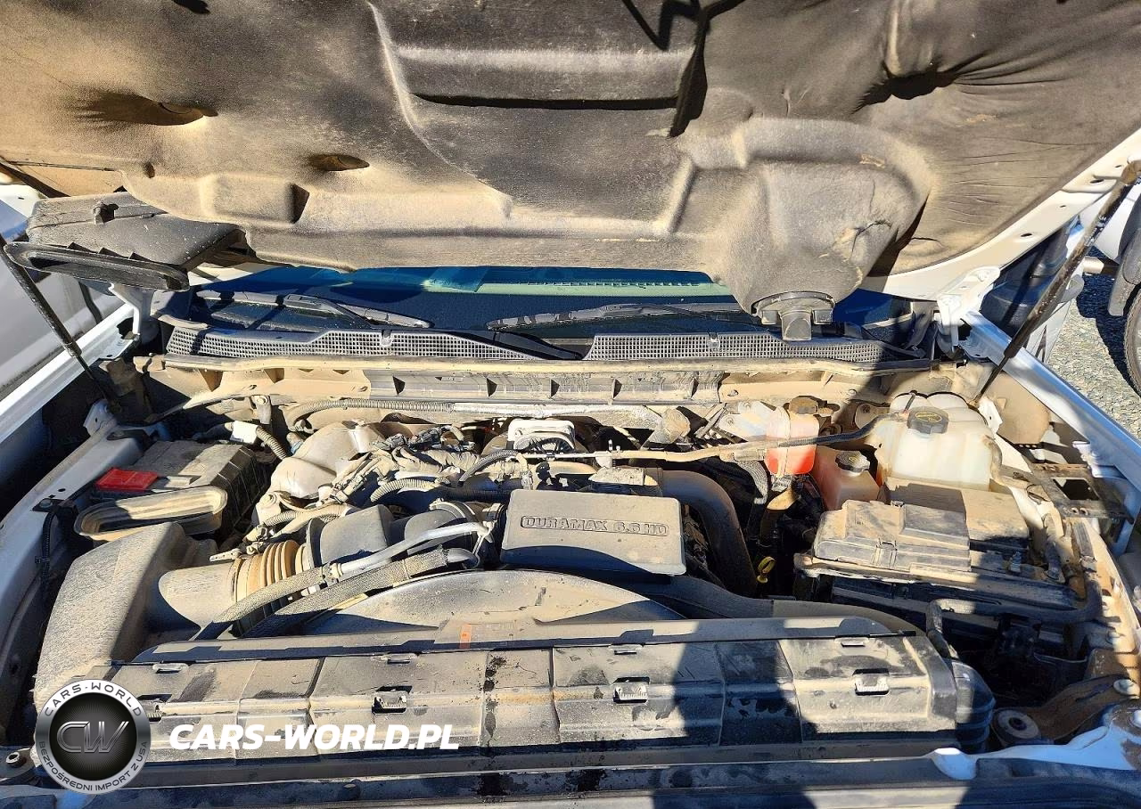 2025 Chevrolet Silverado C2500 Heavy Duty VIN:1GB4ALEYXSF214383 - 11
