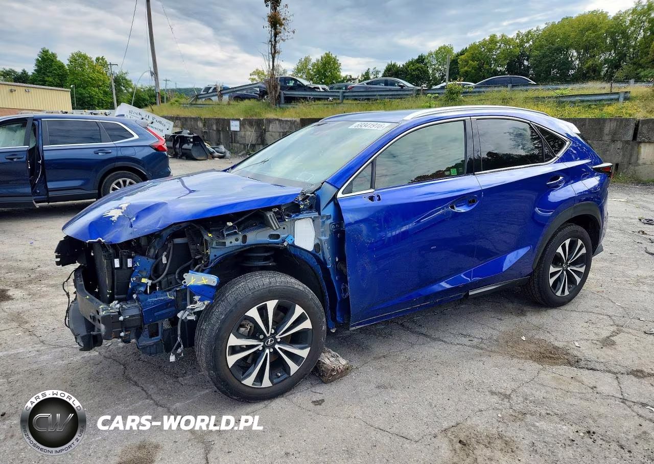 2021 Lexus Nx 300 F Sport VIN:JTJSARDZ6M2245704 - 1