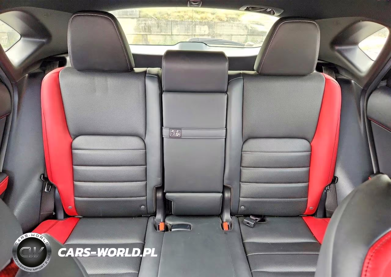 2021 Lexus Nx 300 F Sport VIN:JTJSARDZ6M2245704 - 10