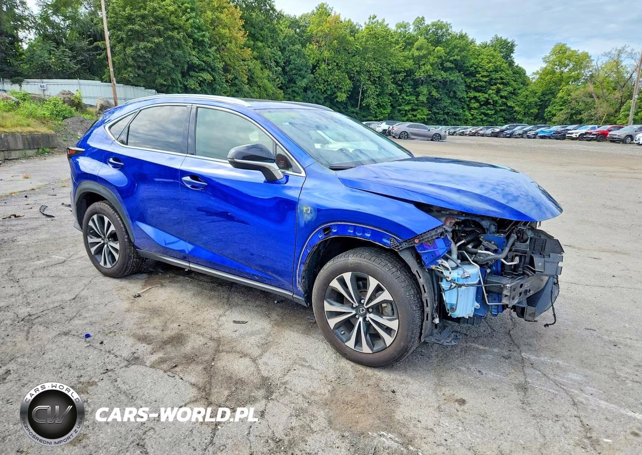 2021 Lexus Nx 300 F Sport VIN:JTJSARDZ6M2245704 - 4
