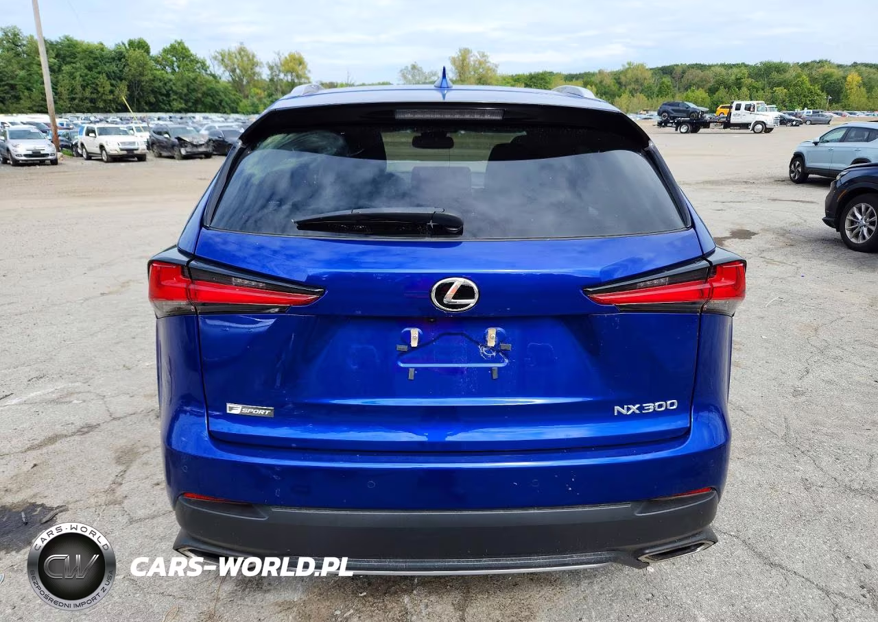 2021 Lexus Nx 300 F Sport VIN:JTJSARDZ6M2245704 - 6