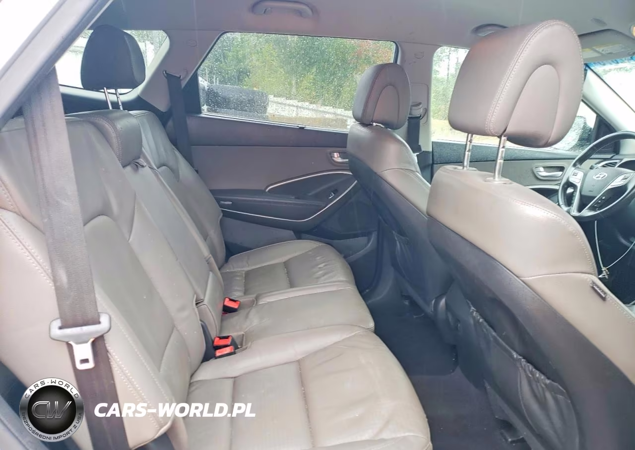 2014 Hyundai Santa Fe Gls VIN:KM8SN4HF4EU080019 - 10
