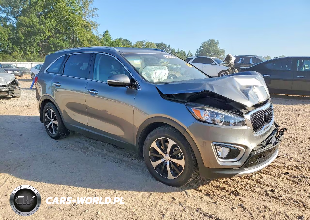 2016 Kia Sorento Ex VIN:5XYPH4A50GG095737 - 4