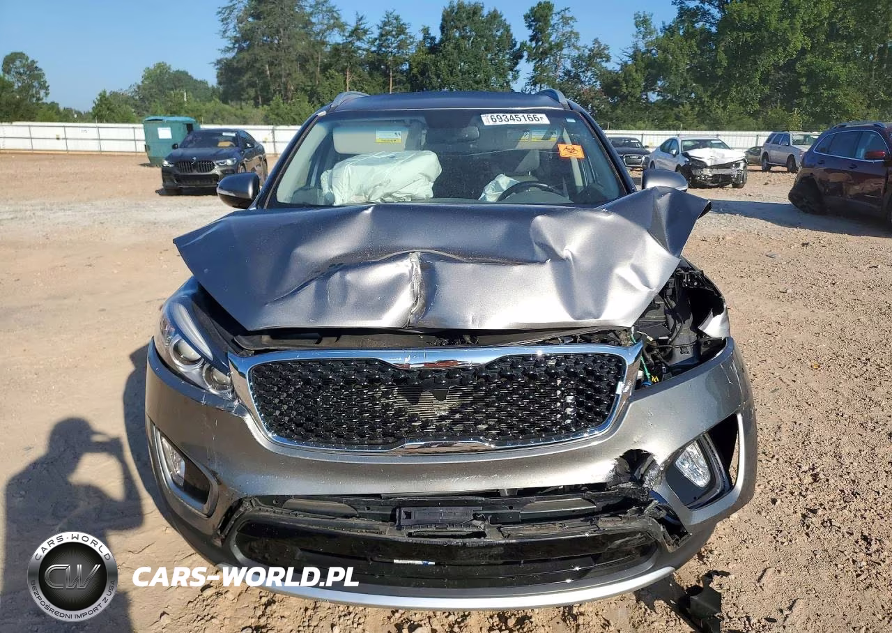 2016 Kia Sorento Ex VIN:5XYPH4A50GG095737 - 5