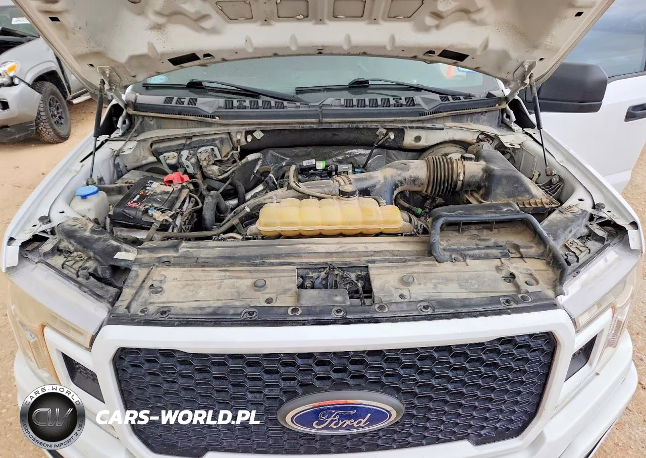 2019 Ford F150 Supercrew VIN:1FTEW1CP0KKC84076 - 11