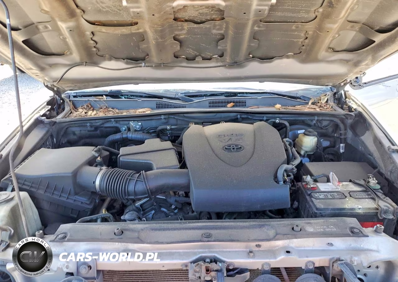 2016 Toyota Tacoma Sr5 V6 VIN:5TFAZ5CN6GX001220 - 11
