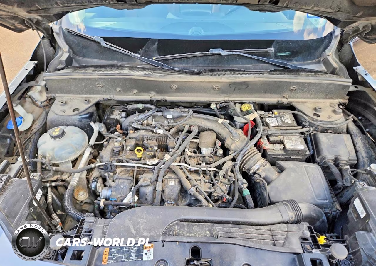 2022 Ford Bronco Sport Badlands VIN:3FMCR9D99NRD53470 - 12