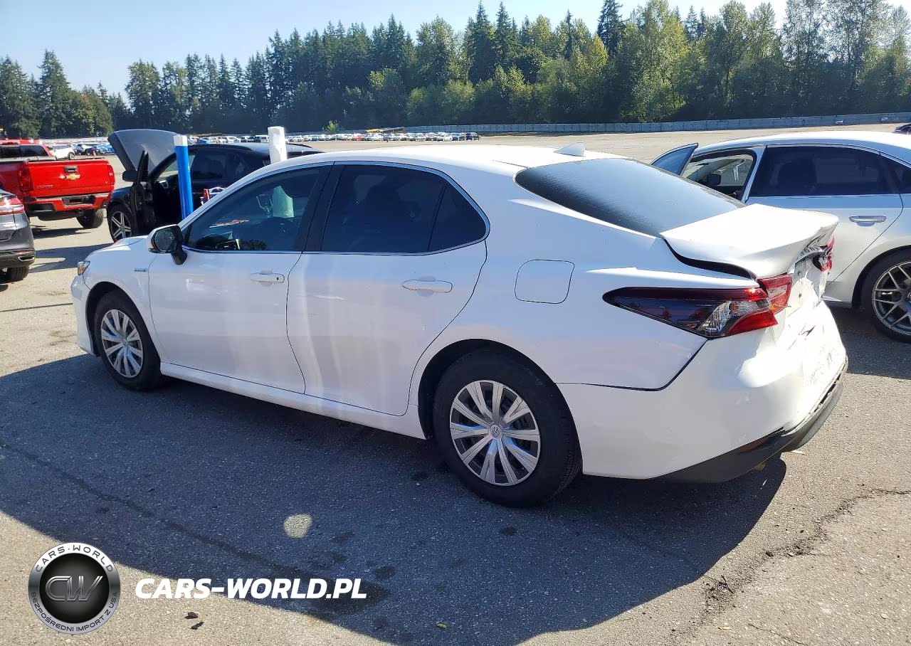 2021 Toyota Camry Le VIN:4T1C31AK5MU022659 - 2