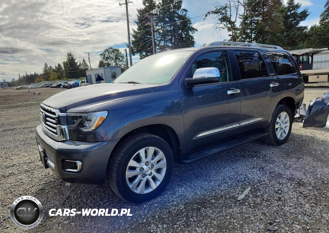 2018 Toyota Sequoia Platinum VIN:5TDDY5G19JS160432 - 1
