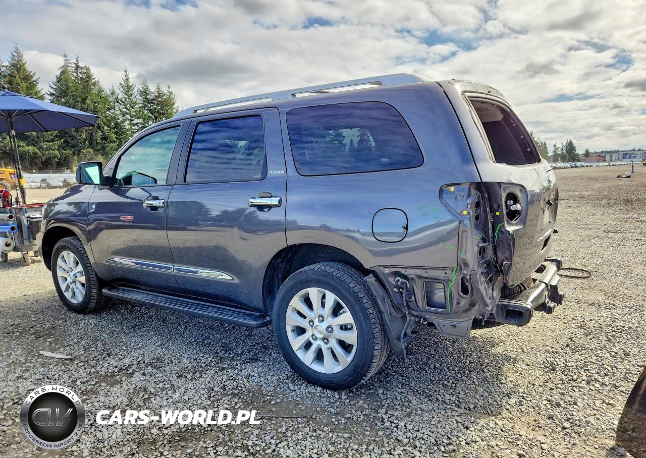 2018 Toyota Sequoia Platinum VIN:5TDDY5G19JS160432 - 2