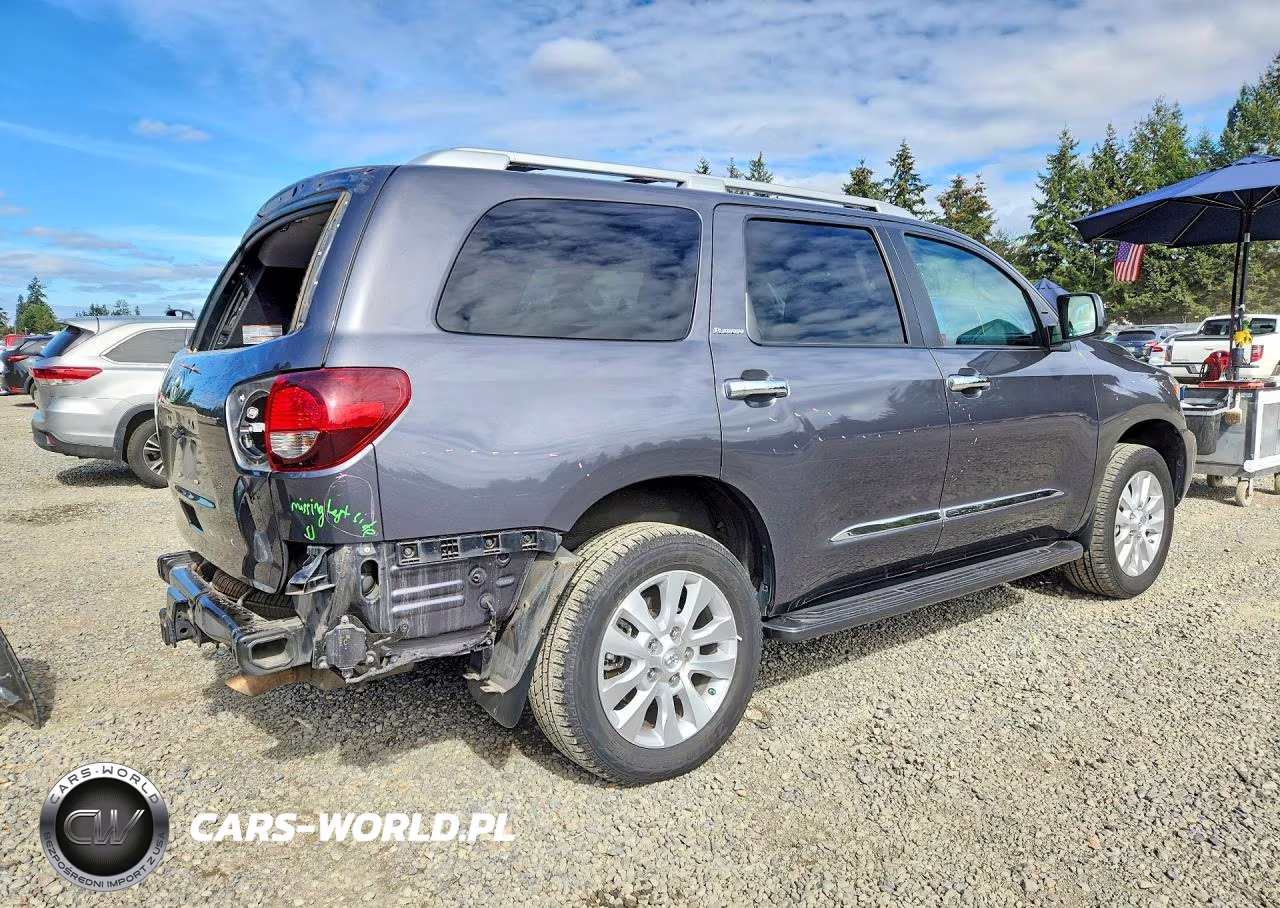 2018 Toyota Sequoia Platinum VIN:5TDDY5G19JS160432 - 3