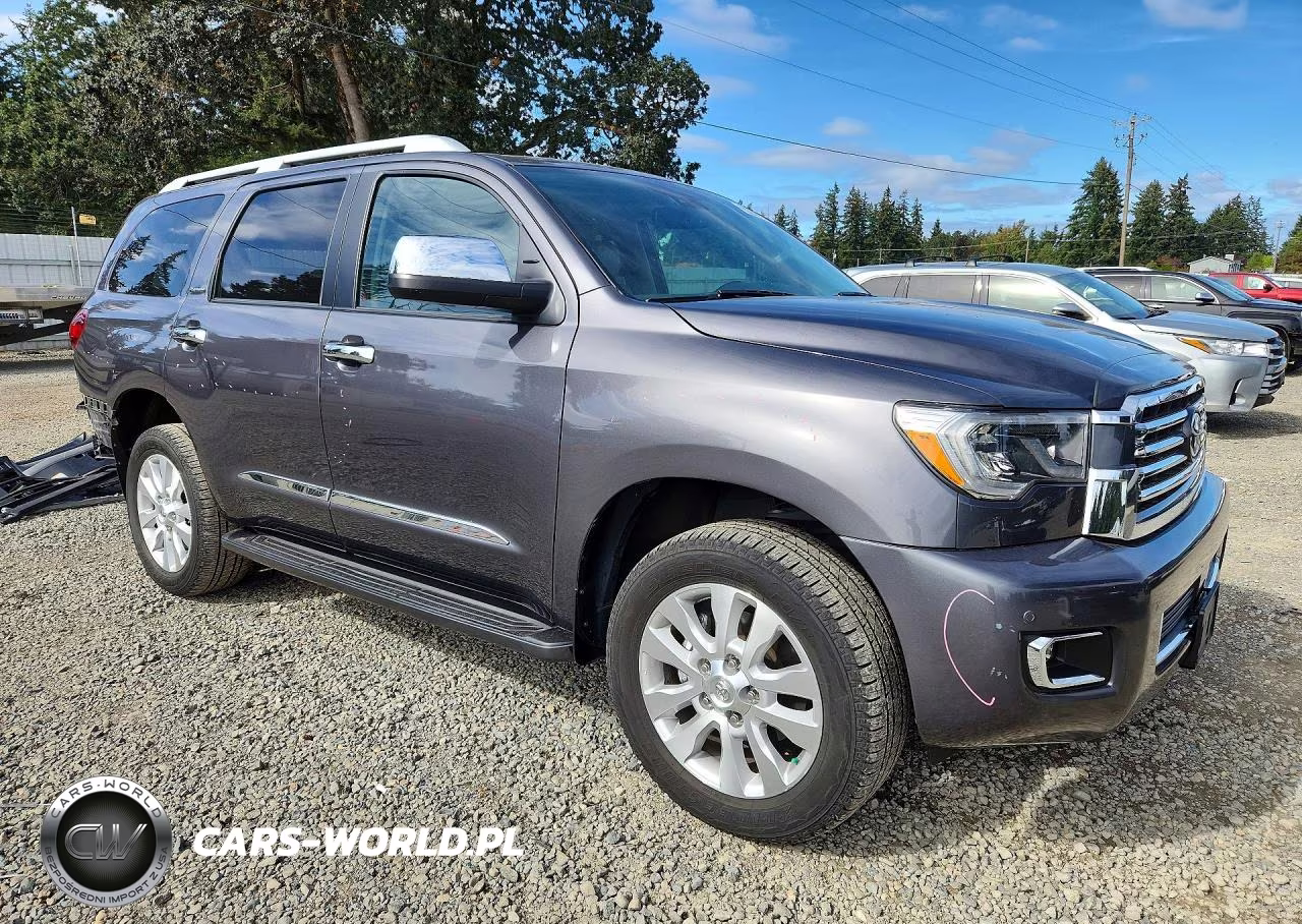 2018 Toyota Sequoia Platinum VIN:5TDDY5G19JS160432 - 4
