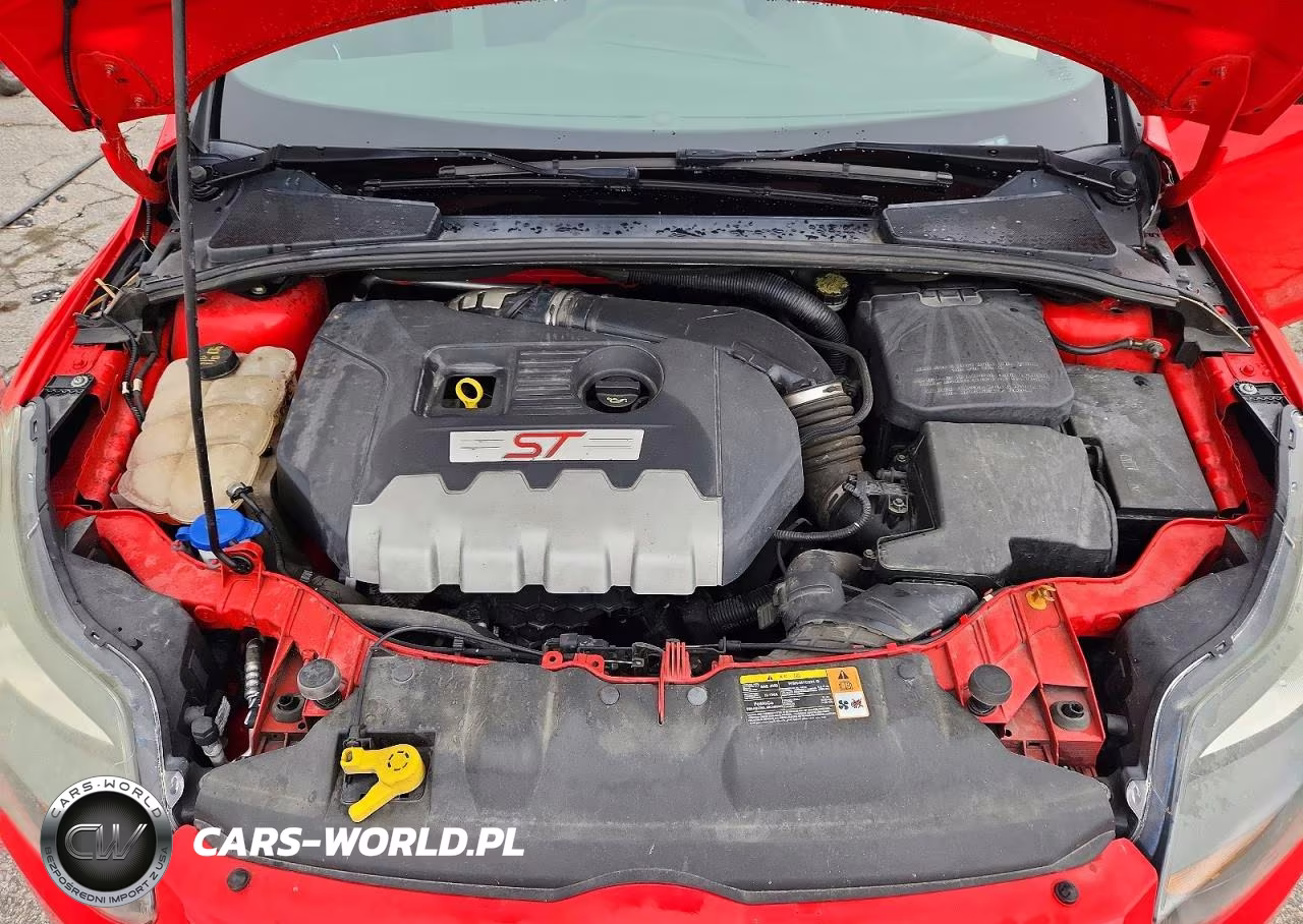 2014 Ford Focus St VIN:1FADP3L94EL197002 - 11