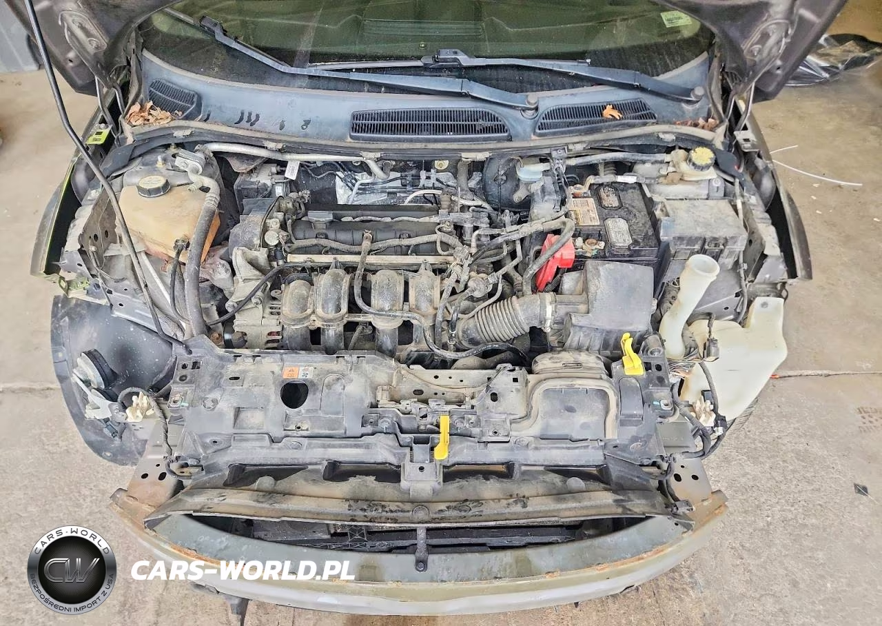 2014 Ford Fiesta Se VIN:3FADP4BJ1EM132852 - 11